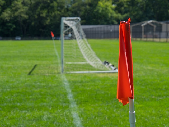 的真切影响 的真切影响