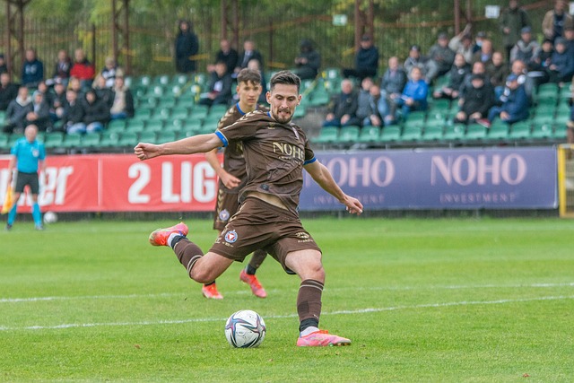 引资结果显 引资结果显