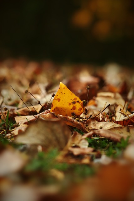 更依赖于全 更依赖于全