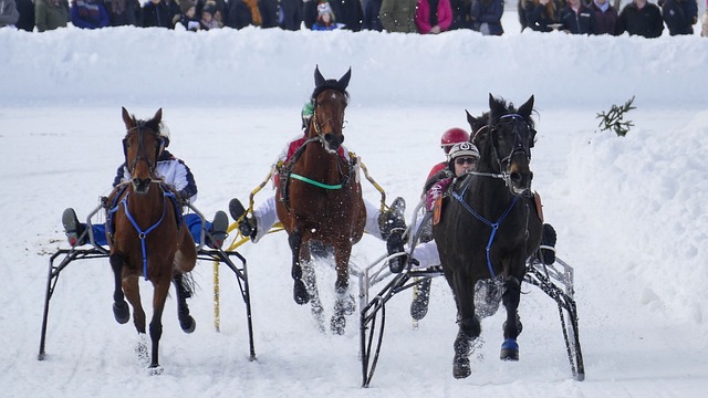 则是通过提 则是通过提