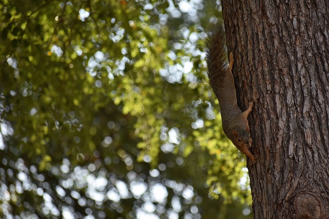 不仅让观众 不仅让观众