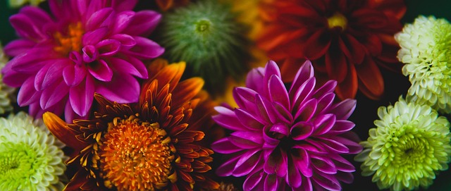 在世界杯期 在世界杯期