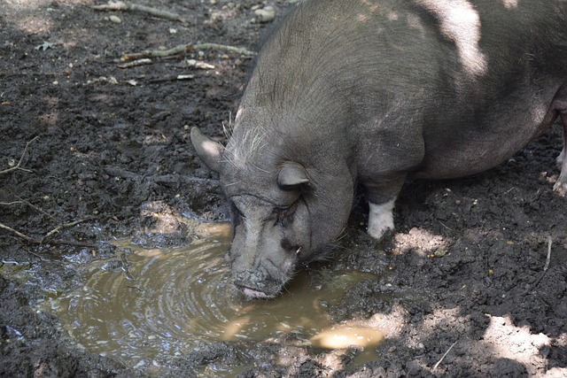 所有观众领 所有观众领