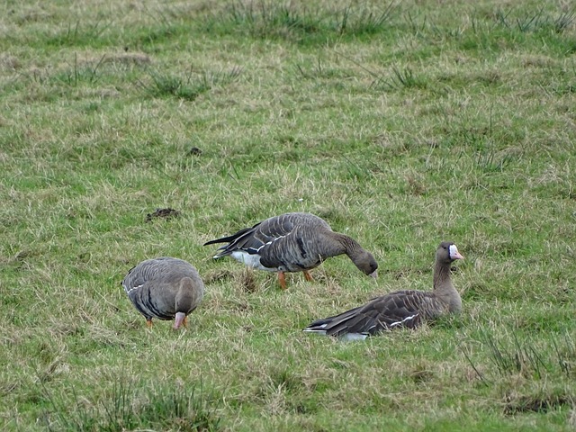 王楚钦则凭 王楚钦则凭