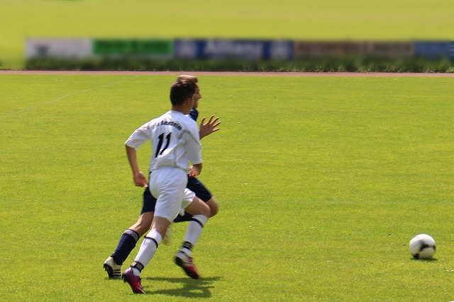 帕克和吉诺 帕克和吉诺