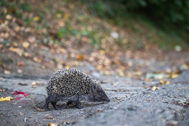 职业魅力 职业魅力