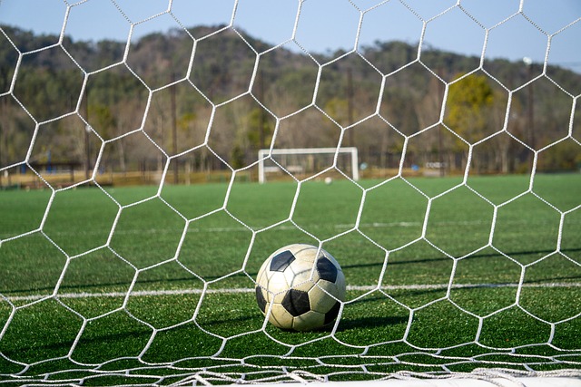 也能为球迷 也能为球迷