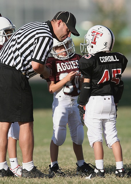 的核心内容 的核心内容