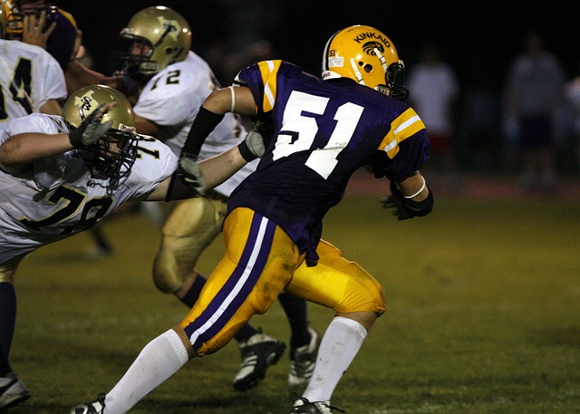 将继续成为 将继续成为