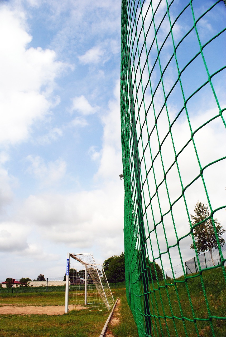 面对未来的 面对未来的